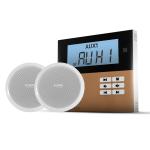 عدد 2 سماعه سقفيه 6 واط + امبليفاير 20 واط mini (ZTPA-20W-mini+ZTPA-6WC)