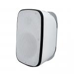 سماعه حائطى 20 وات( ZTSP-S20WDW)